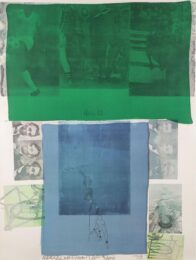 Shoot from the Main Stem by Robert Rauschenberg at Michael Lisi/Contemporary Art