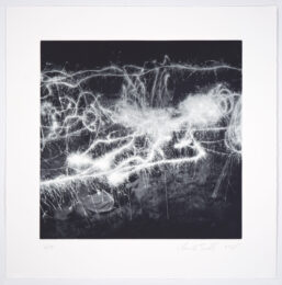Sparklers by Claire Seidl at Manneken Press (IFPDA)