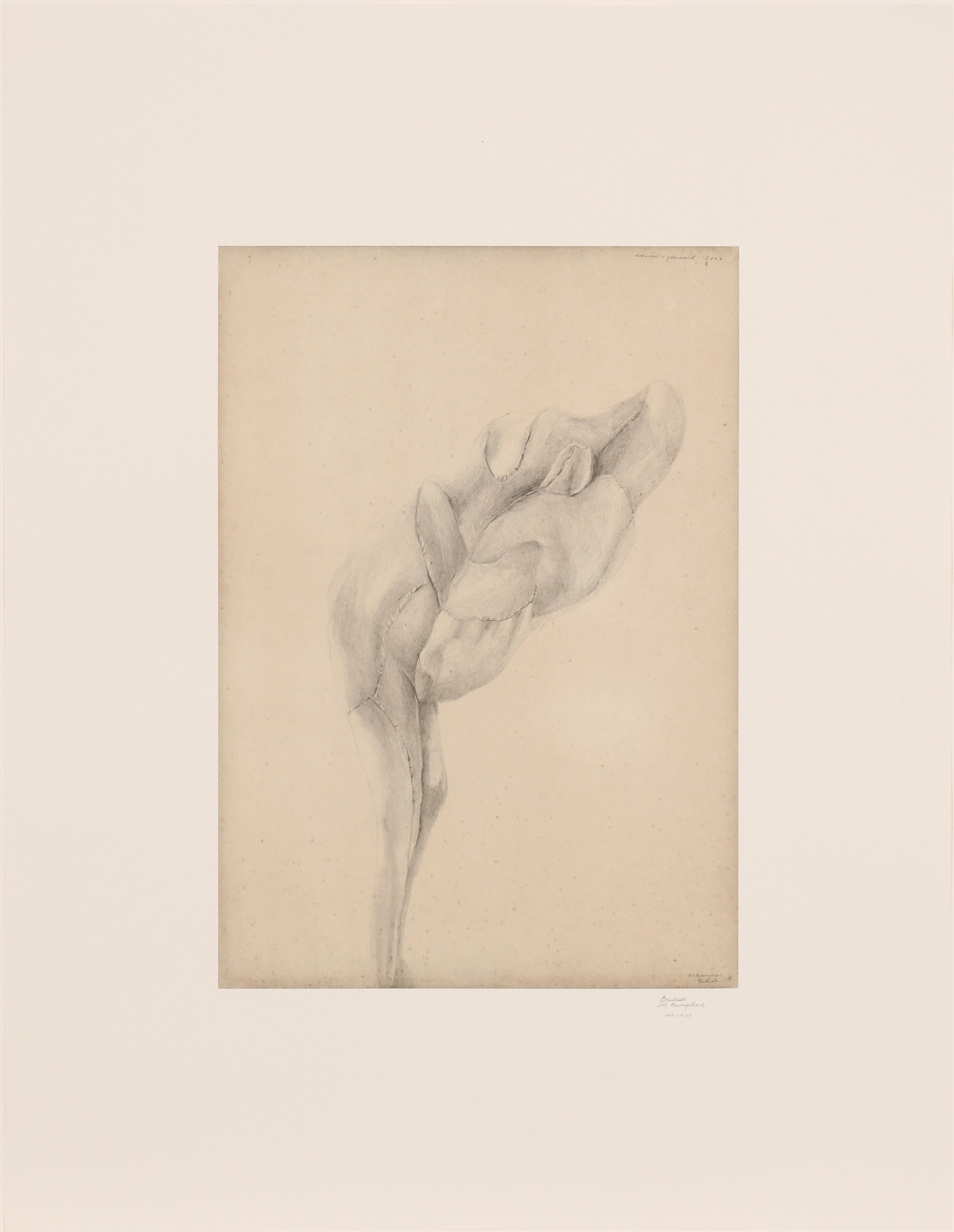 Aanééngenaaid by Berlinde De Bruyckere