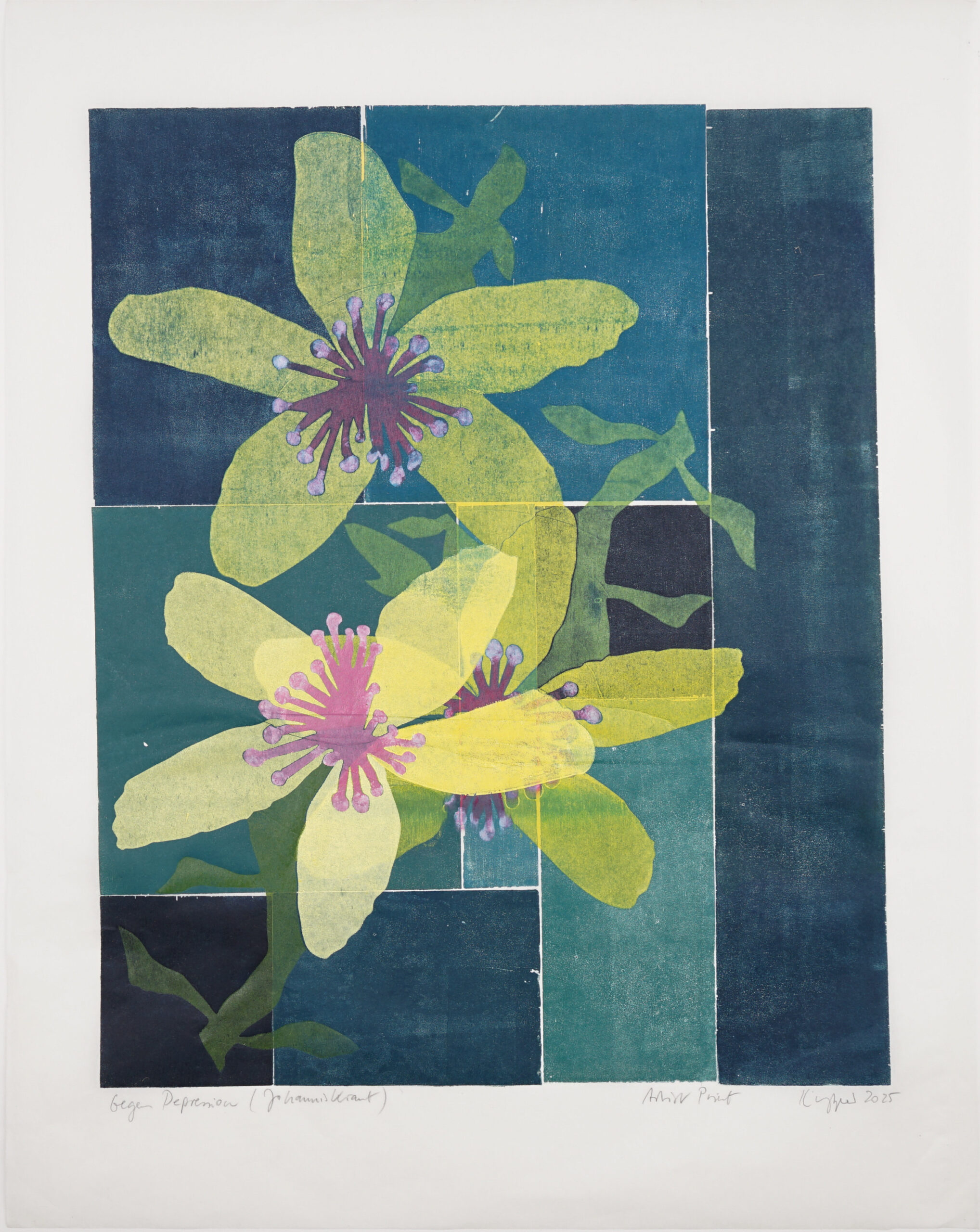 Against Depression (St. John’s Wort) by Thomas Kilpper