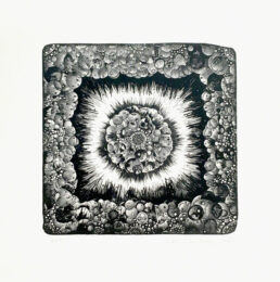 Between Black and White by Katia Santibañez at Jungle Press Editions