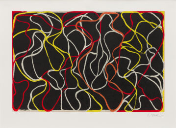 Beyond Eagles Mere by Brice Marden at Susan Sheehan Gallery