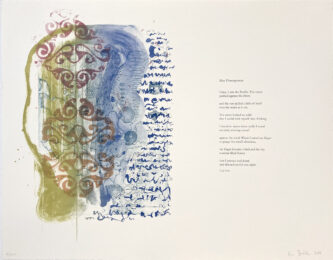 Birdlands, Slaty Flowerpiercer by Ken Buhler at Jungle Press Editions