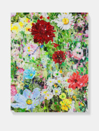 Damien Hirst Resolution from The Secrets H14-6 by Damien Hirst at Clifton Gallery