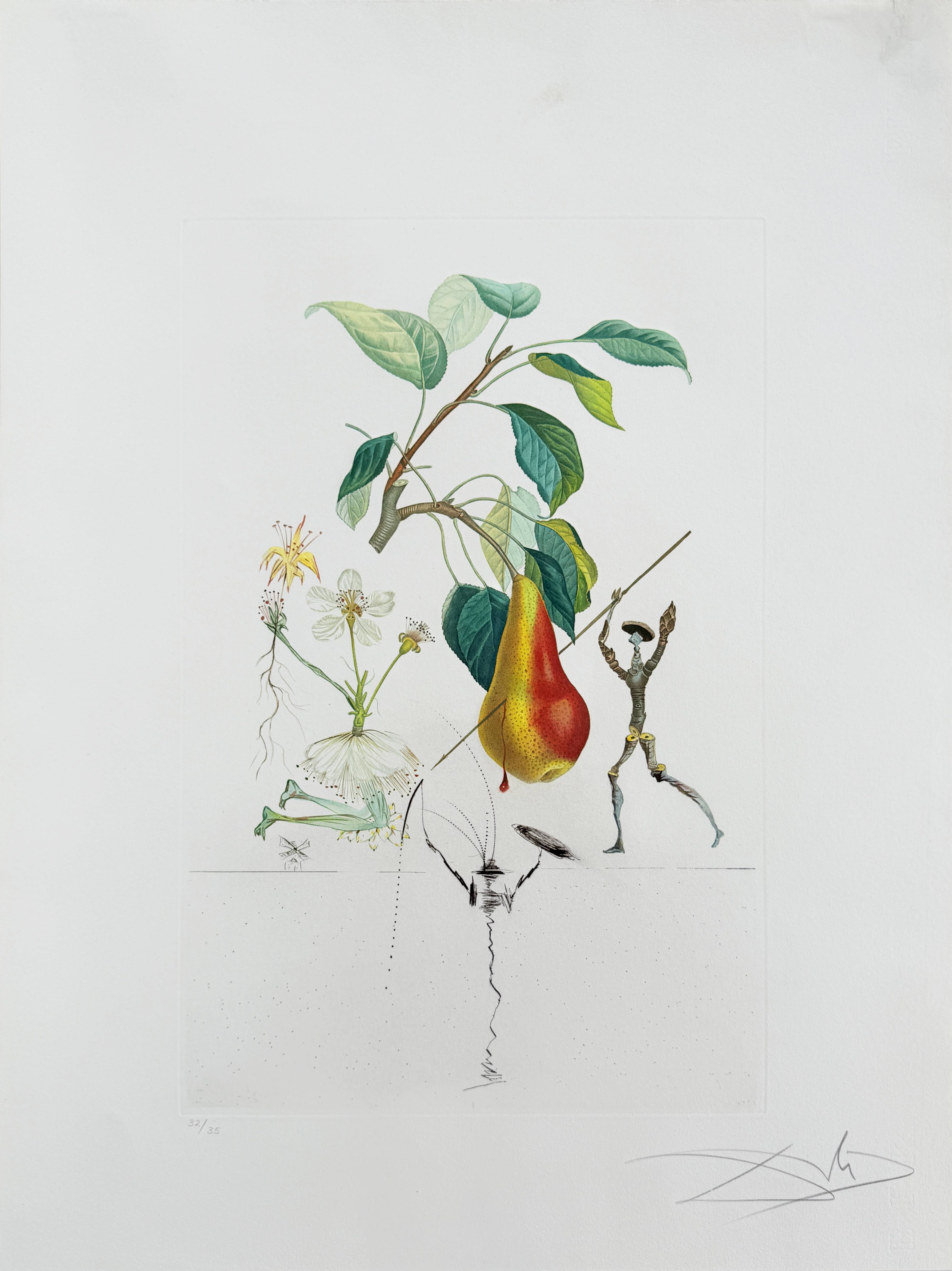 Don Quixote Pear from Flordali suite by Salvador Dalí