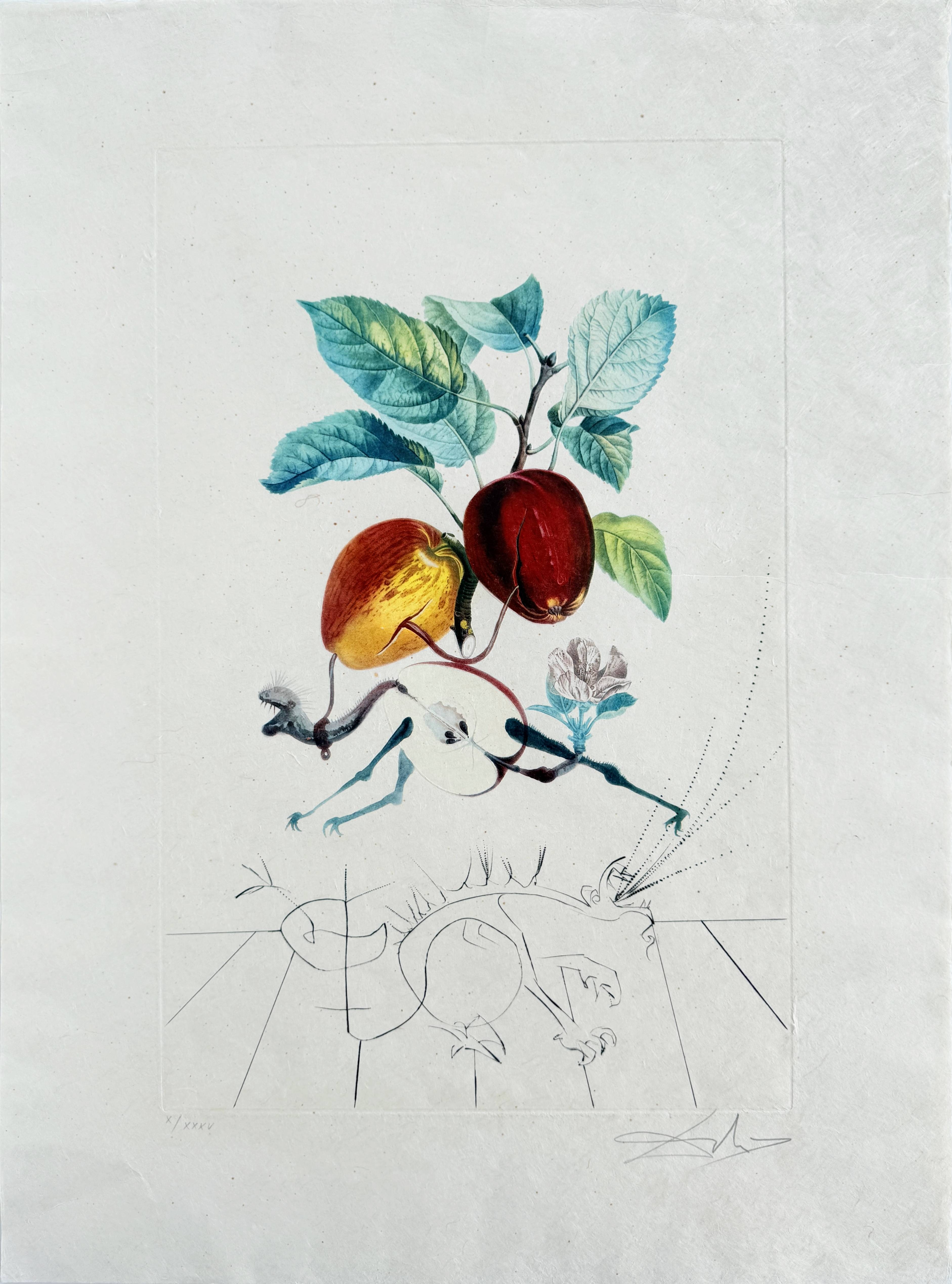 Dragon Apple from Flordali suite by Salvador Dalí