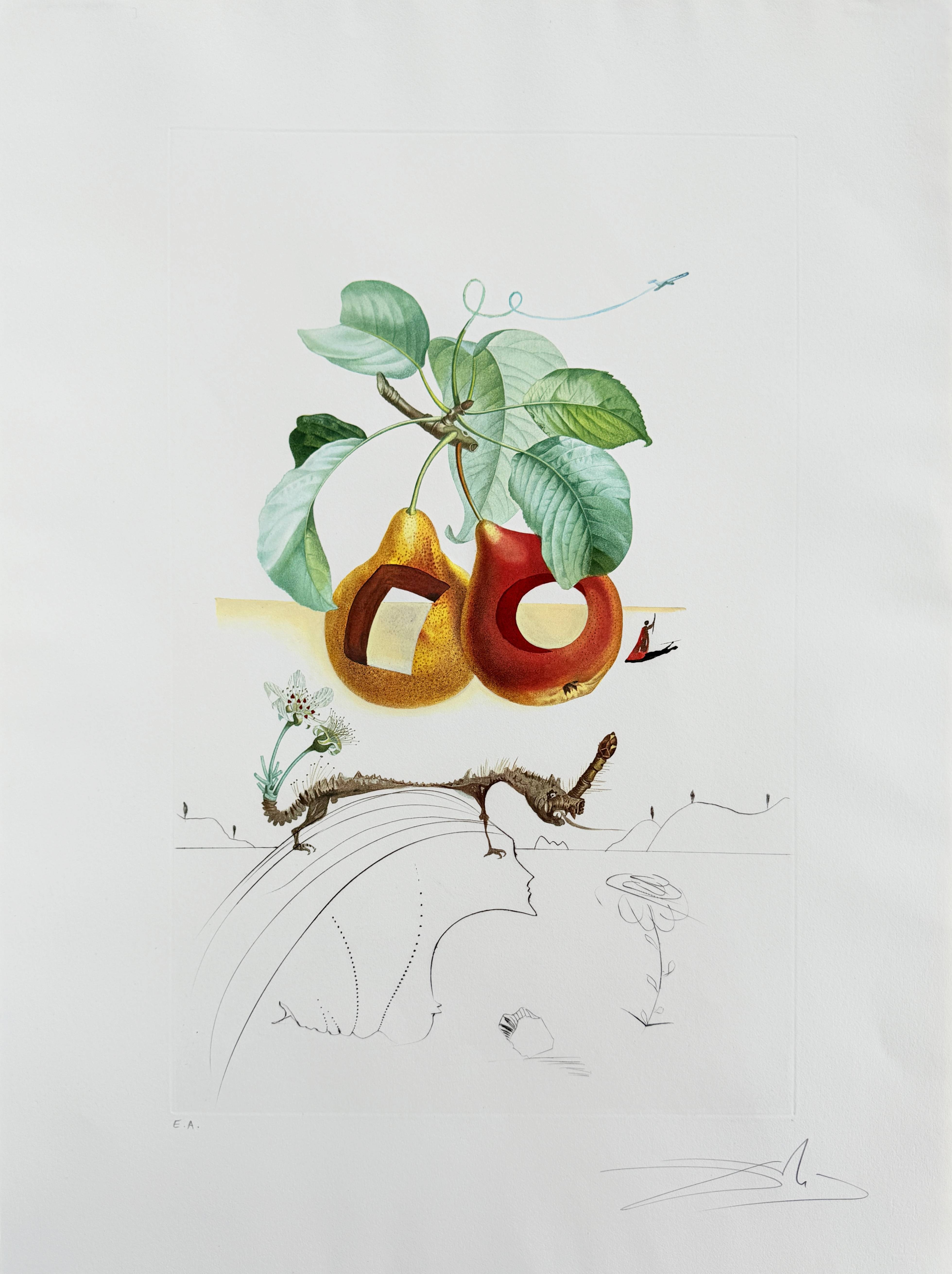 Holed Fruit from Flordali suite by Salvador Dalí