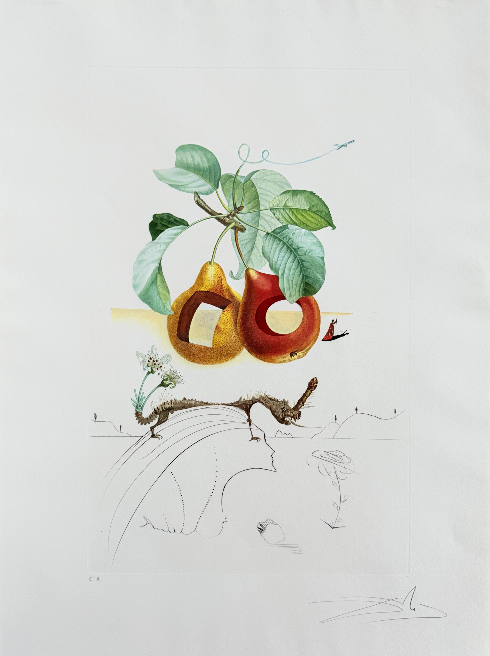 Holed Fruit from Flordali suite by Salvador Dalí