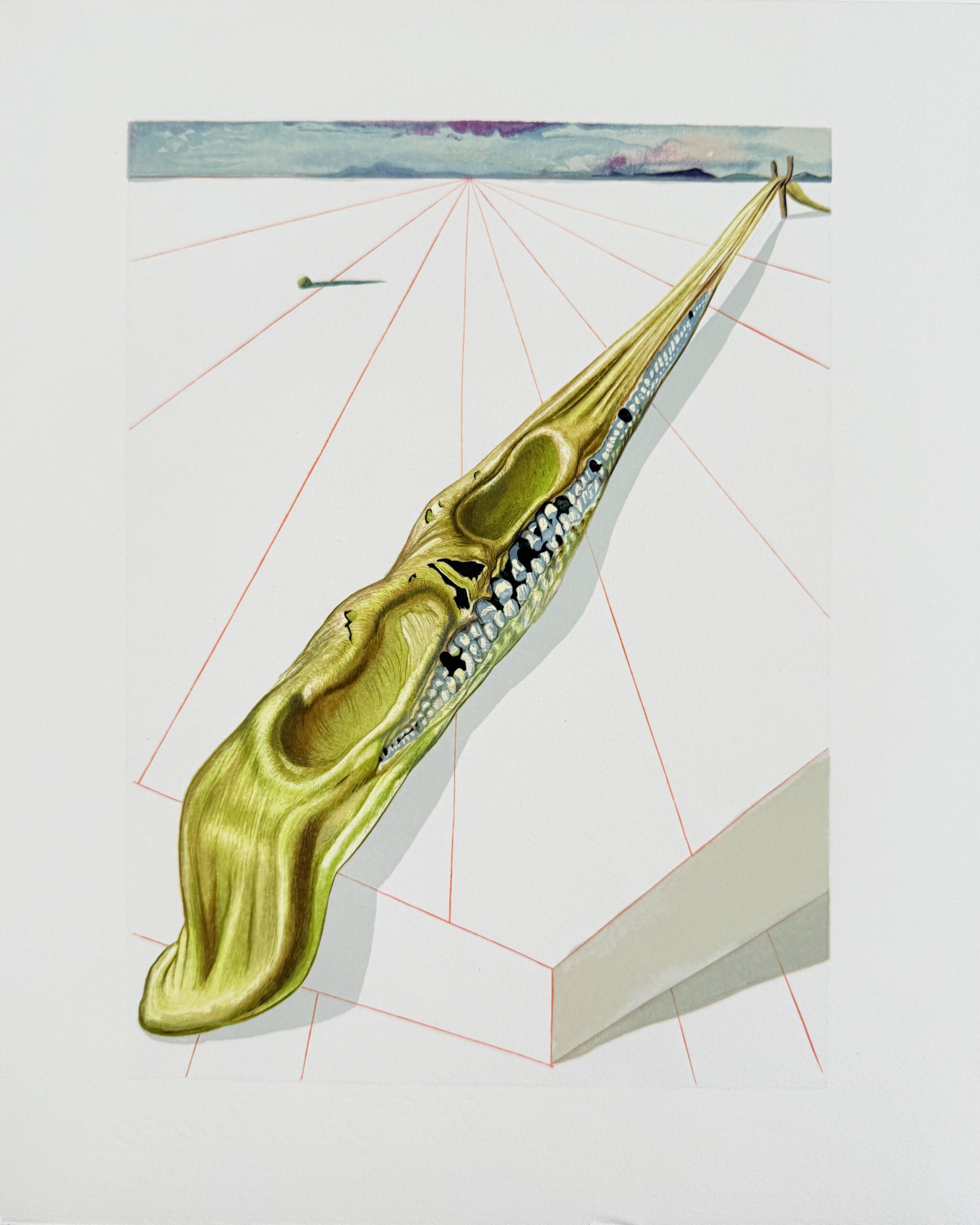 The Inferno, Canto 14 – Blasphémateurs by Salvador Dalí