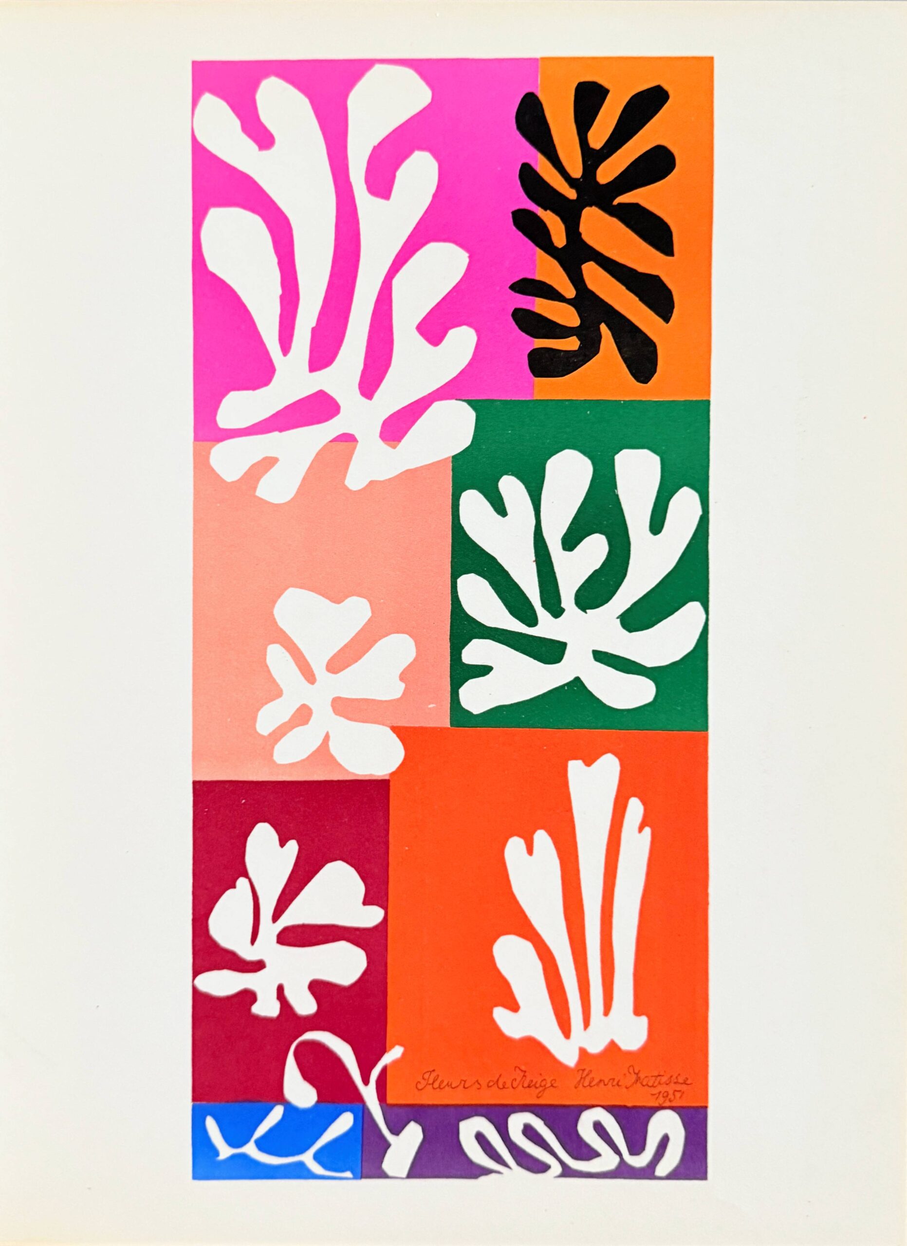 Fleurs de Neige by Henri Matisse