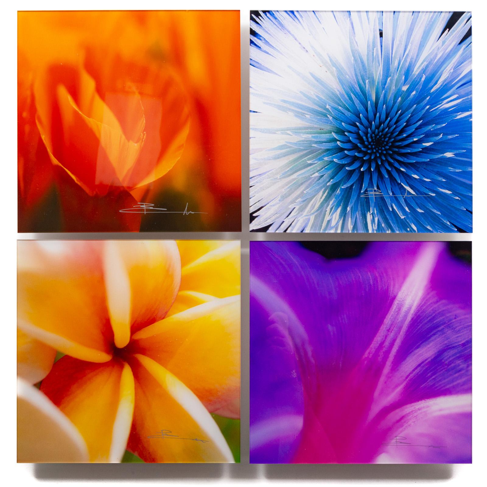 Flowers of Paradise by Peter Lik