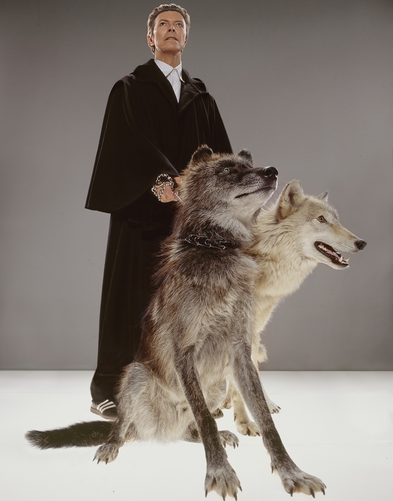David Bowie, The Pack by Markus Klinko