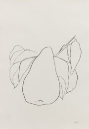 Pear iii by Ellsworth Kelly at Susan Sheehan Gallery