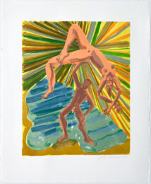 Suitor by Judith Linhares at Jungle Press Editions