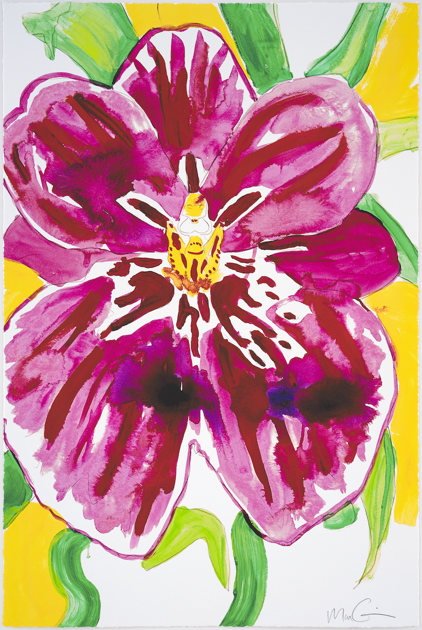 The Variety of Morphological Experience, Miltoniopsis Orchid (Newton Falls) by Marc Quinn