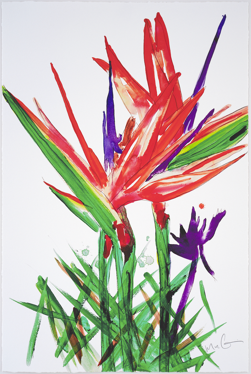 The Variety of Morphological Experience, Strelitzia by Marc Quinn