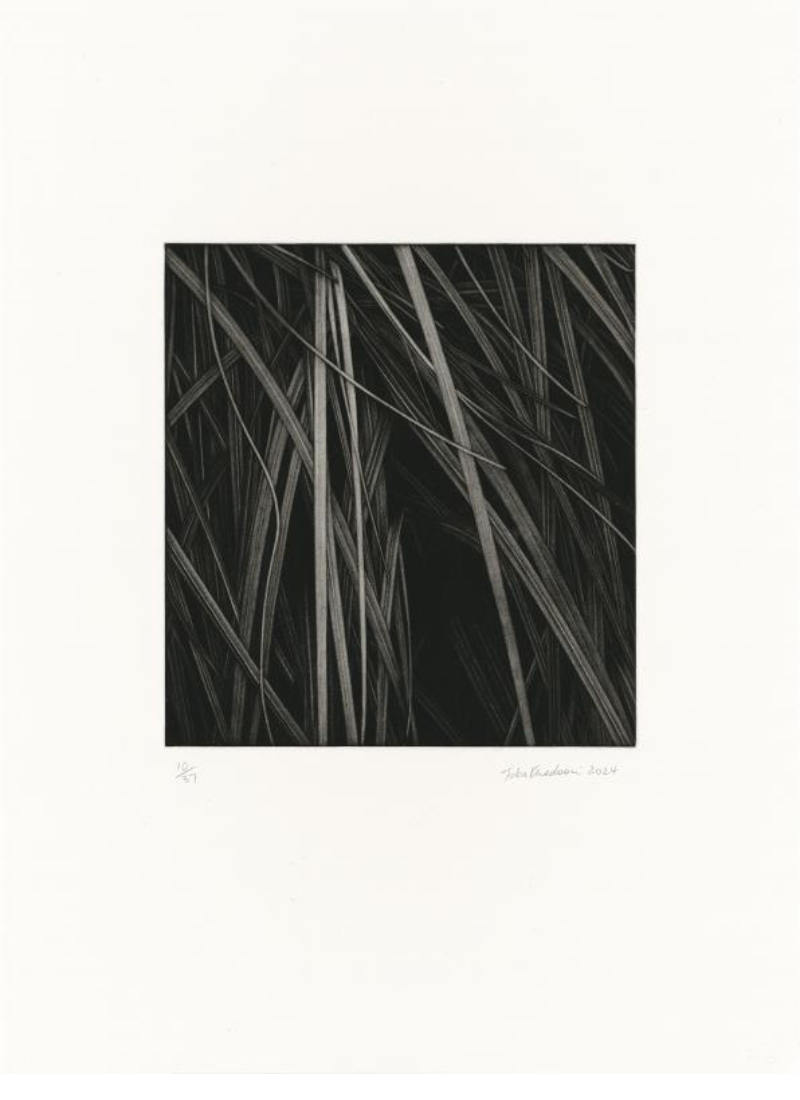 Untitled 1 by Toba Khedoori