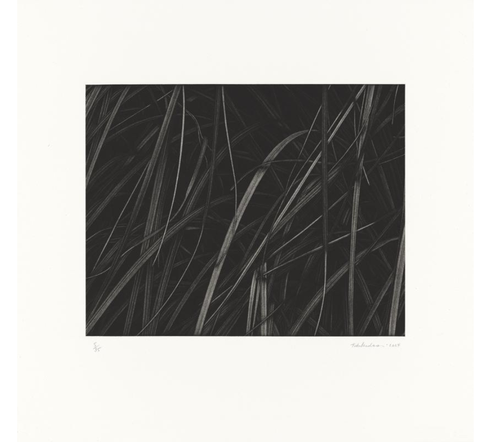 Untitled 2 by Toba Khedoori