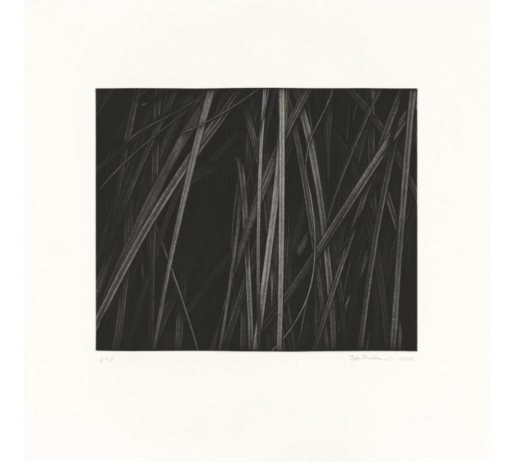Untitled 3 by Toba Khedoori