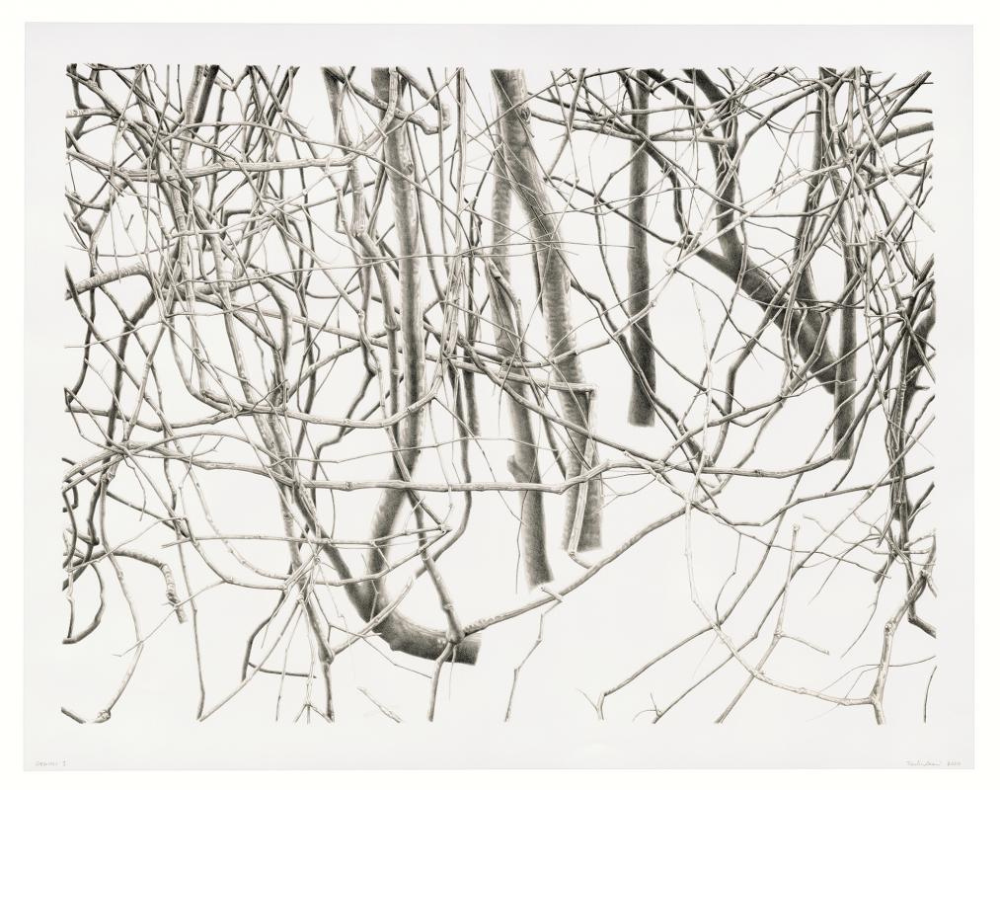 Untitled (branches) by Toba Khedoori