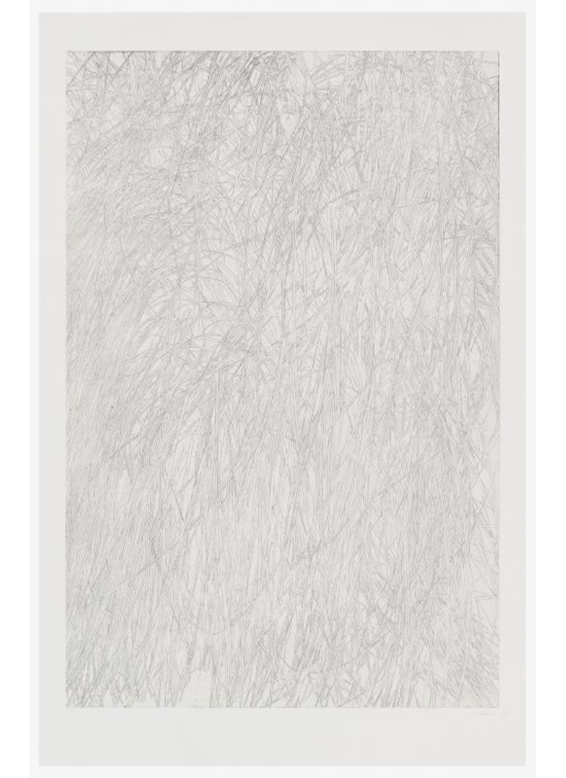 Untitled (grass) by Toba Khedoori