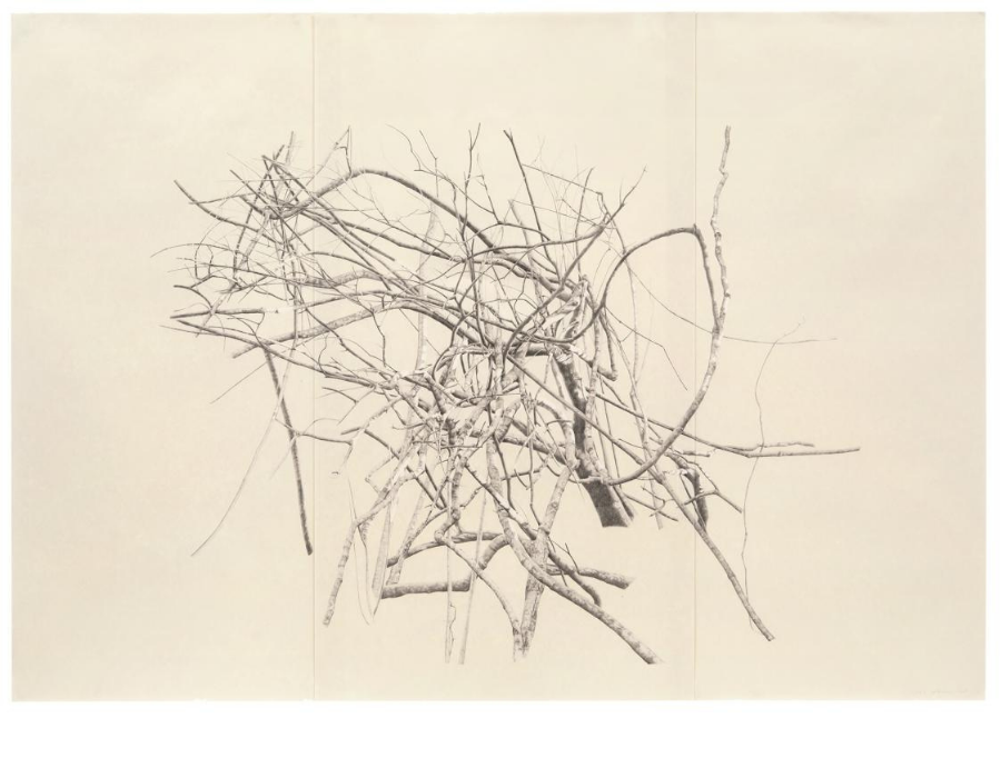 Untitled (large branches) by Toba Khedoori