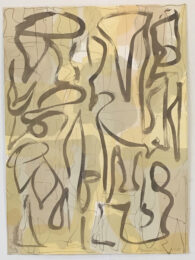 Wilde iv by Melissa Meyer at Jungle Press Editions