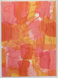 Wilde ix by Melissa Meyer at Jungle Press Editions