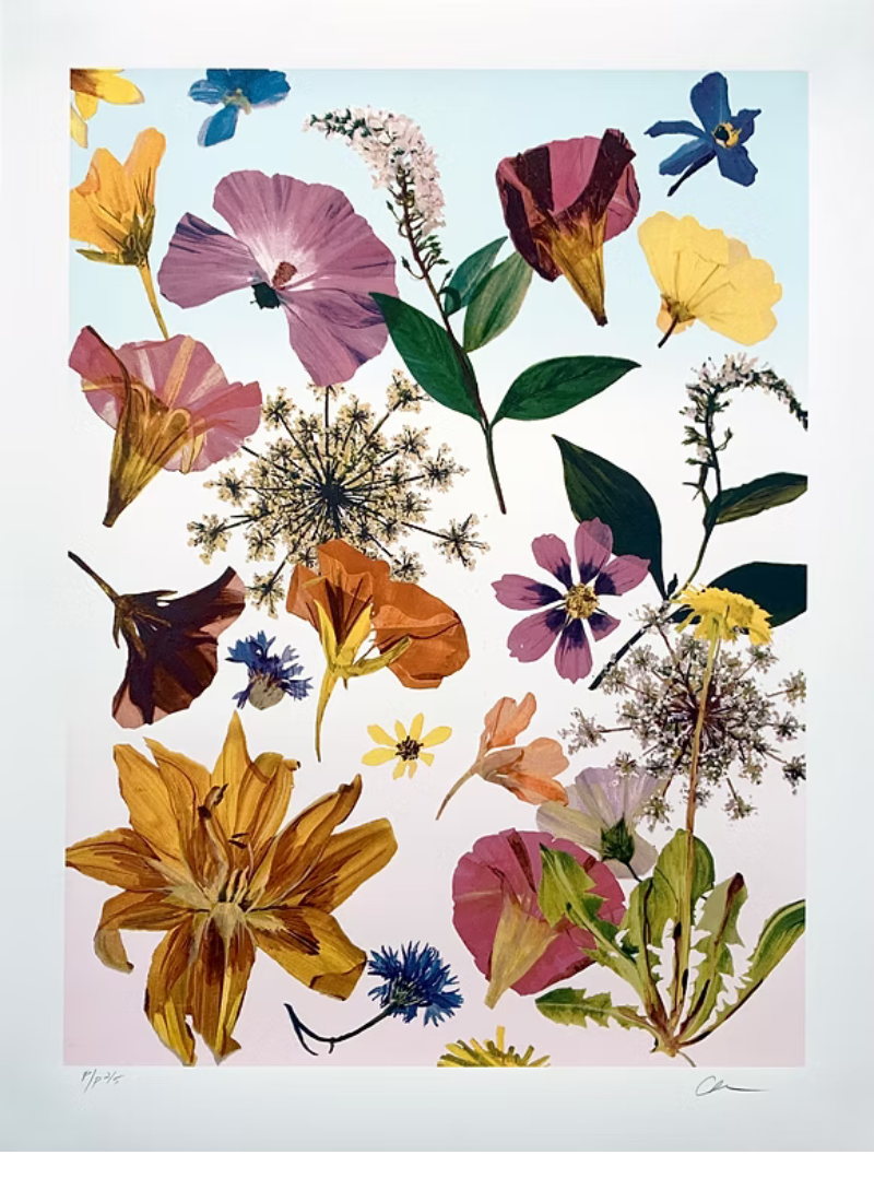 3 Seasons (a) by Carly Glovinski