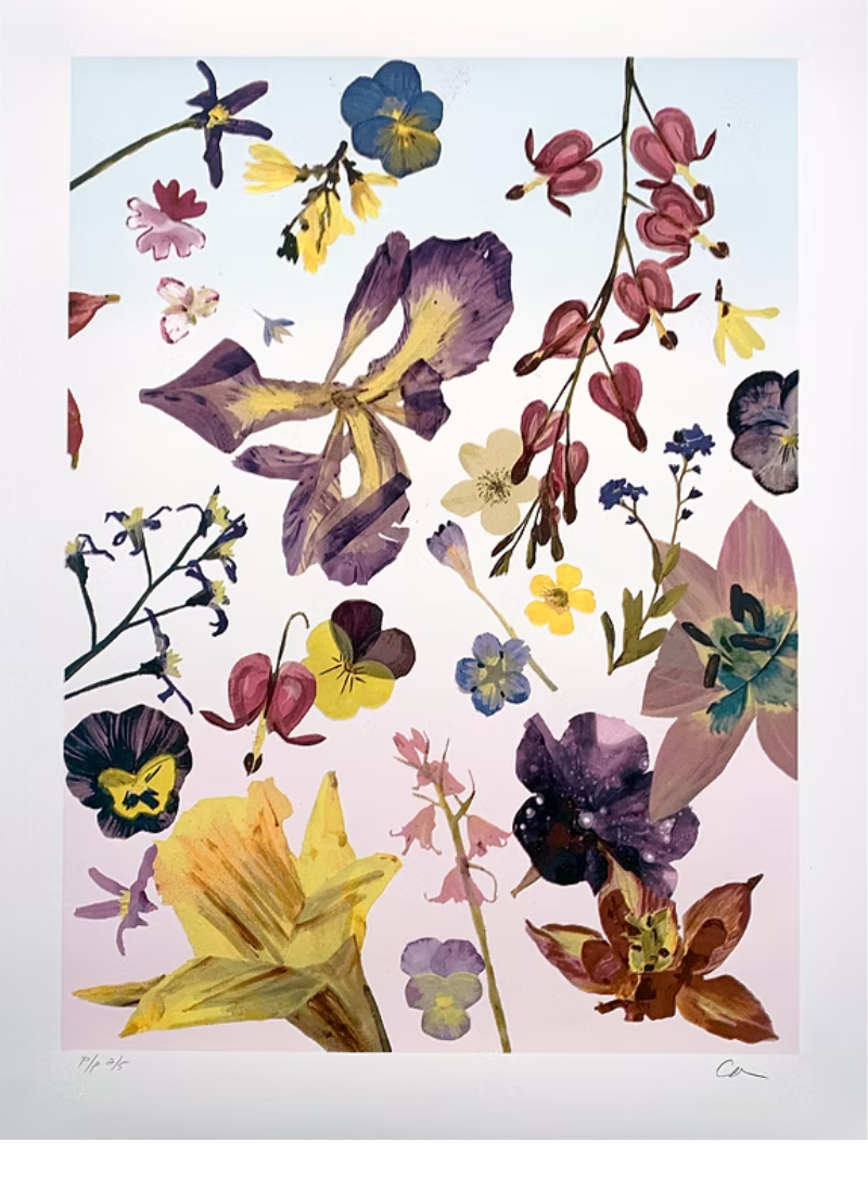 3 Seasons (b) by Carly Glovinski