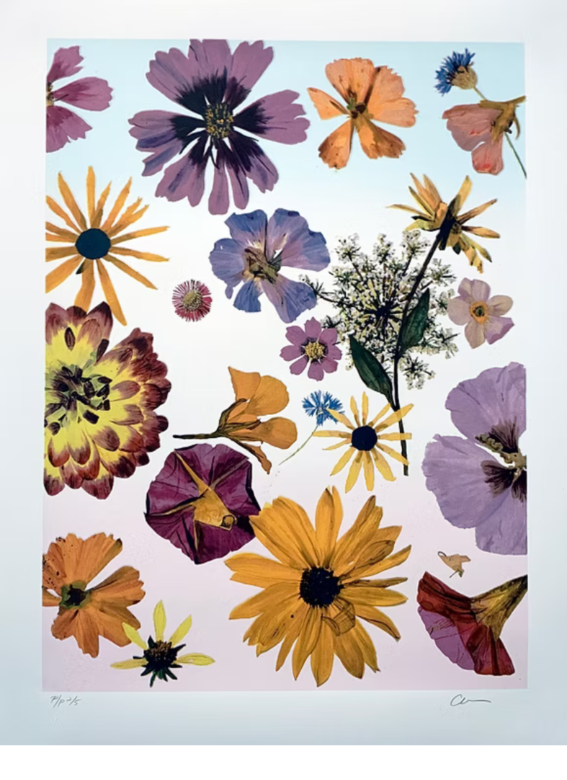 3 Seasons (c) by Carly Glovinski