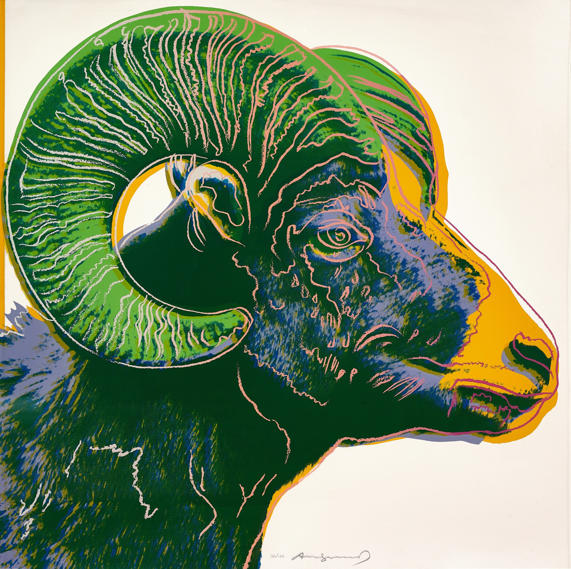 Bighorn Ram (FS II.302) by Andy Warhol