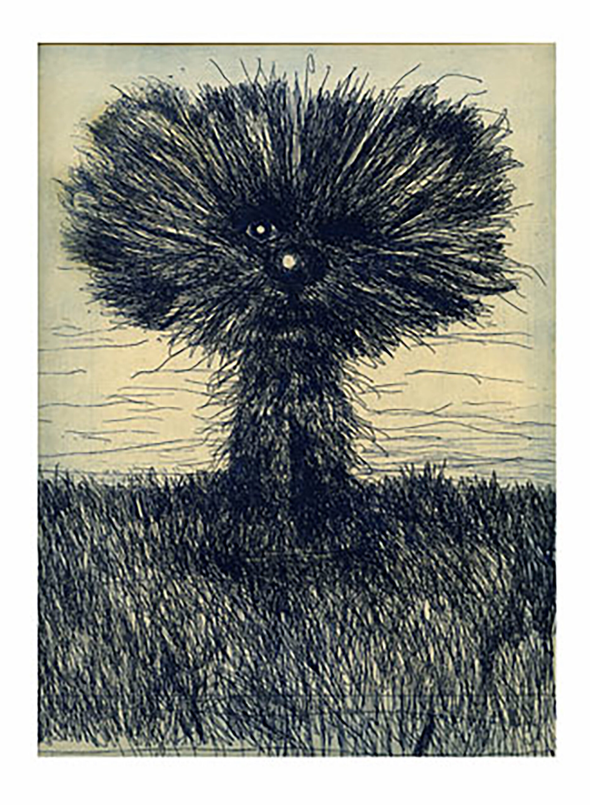 Finalist by Bill Adams