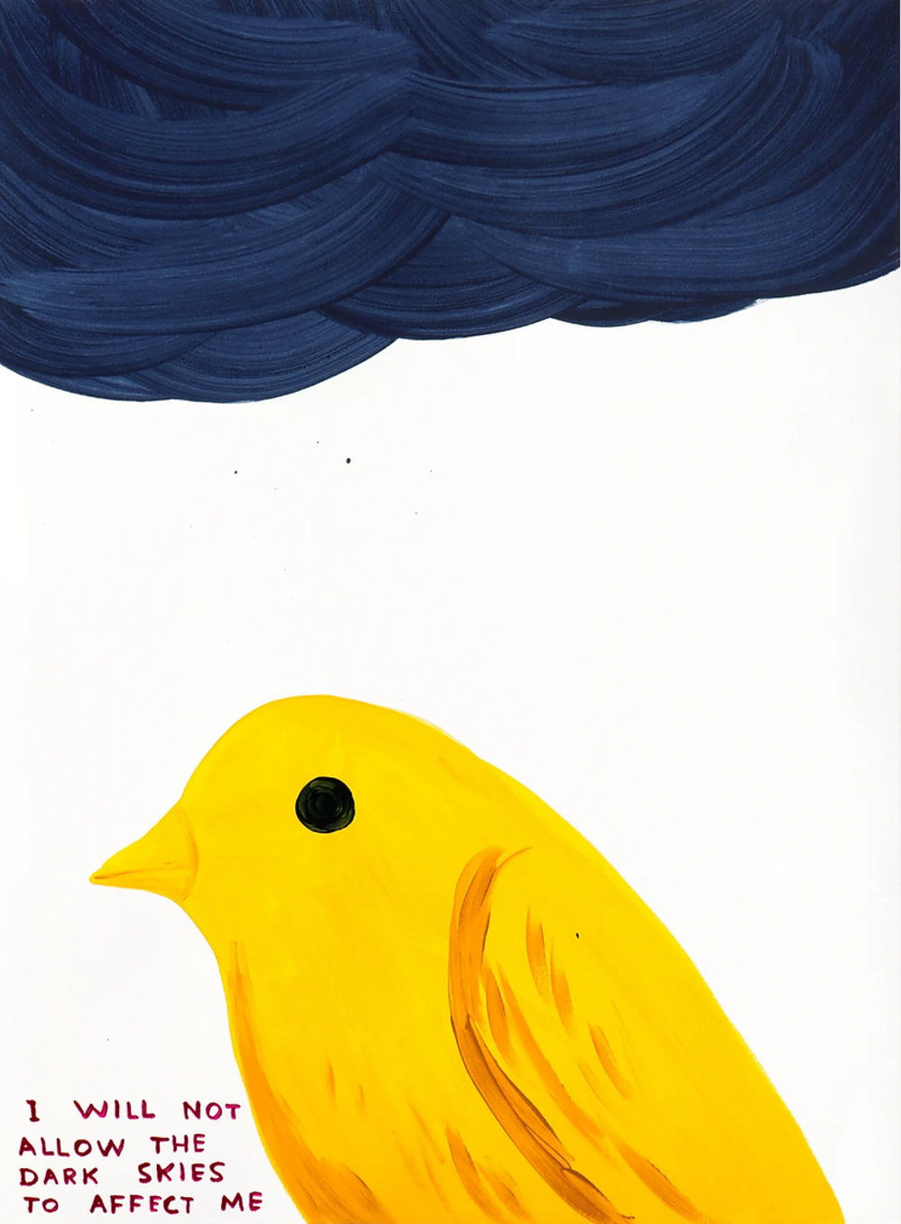 David Shrigley I Will Not Allow The Dark Skies To Affect Me by David Shrigley