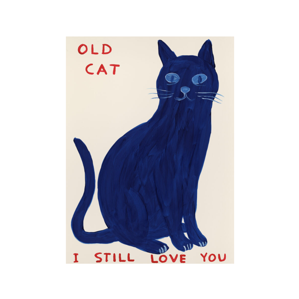 David Shrigley, Old Cat (2022) by David Shrigley