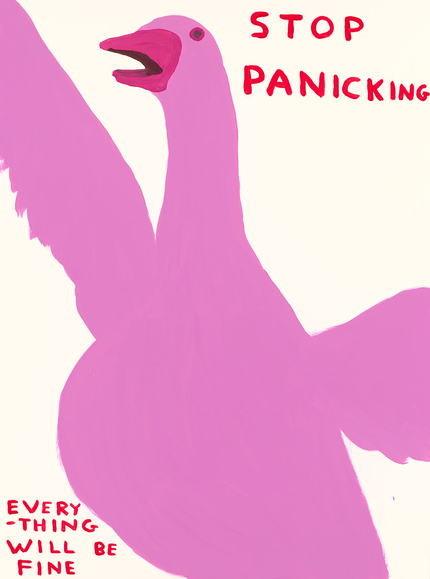 David Shrigley Stop Panicking by David Shrigley