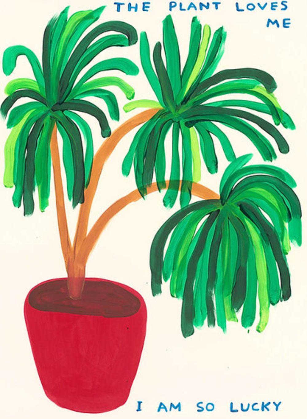 David Shrigley The Plant Loves Me by David Shrigley
