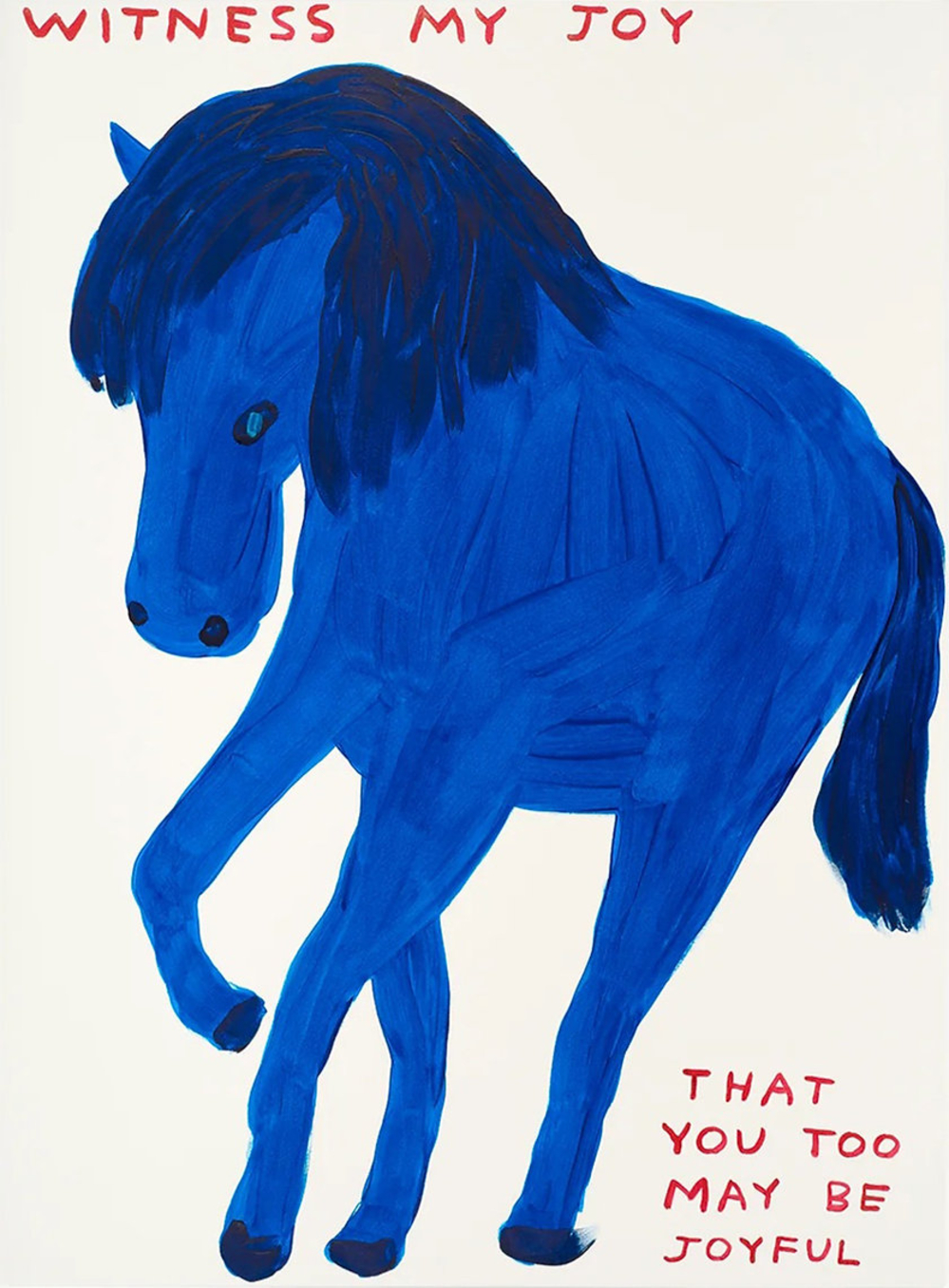 David Shrigley Witness My Joy by David Shrigley