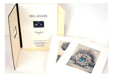 Finalist Portfolio by Bill Adams at Flying Horse Editions