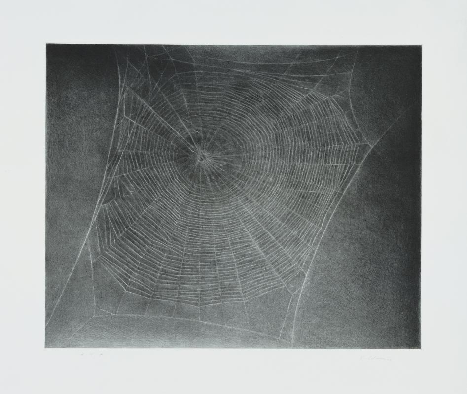 Untitled (Web 4 by Vija Celmins