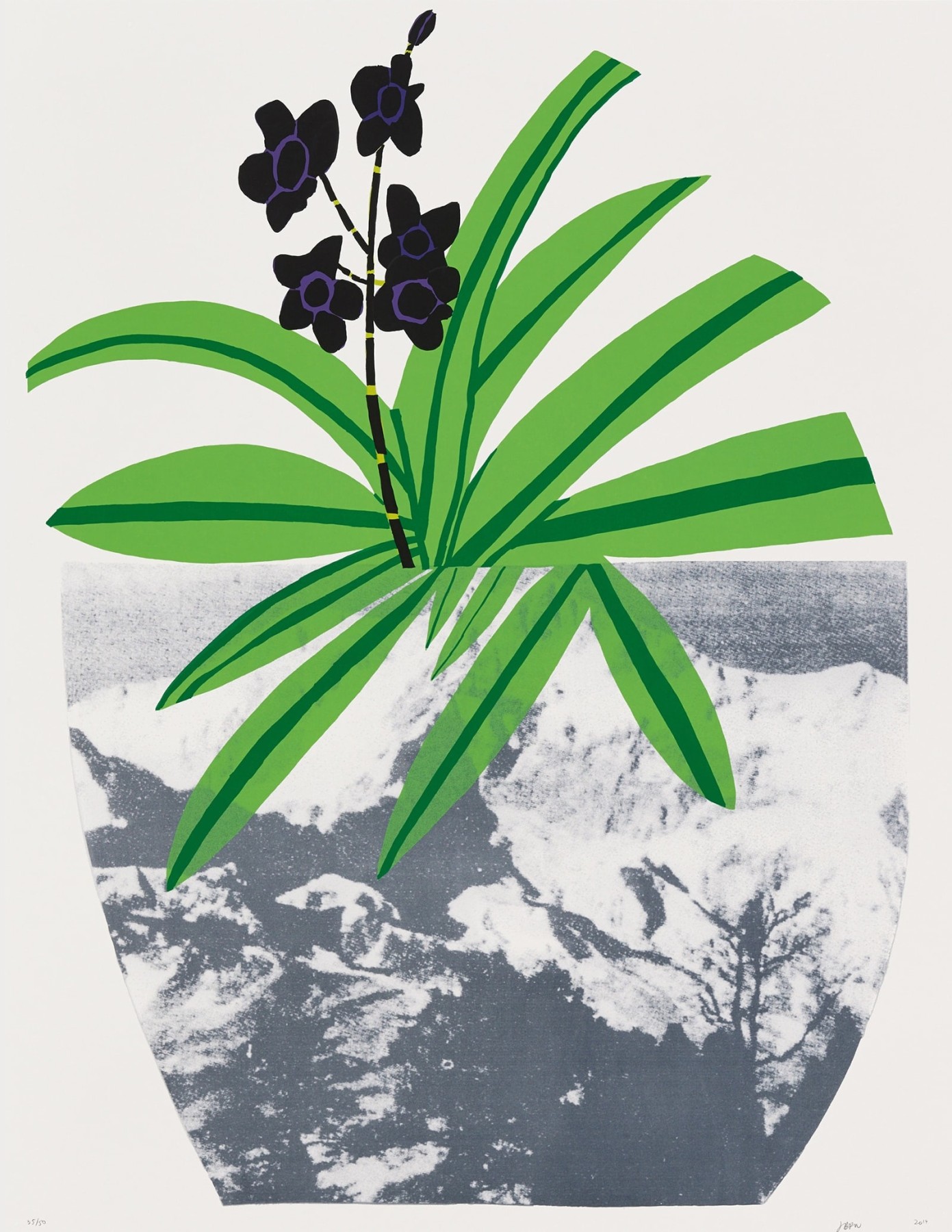 Untitled by Jonas Wood