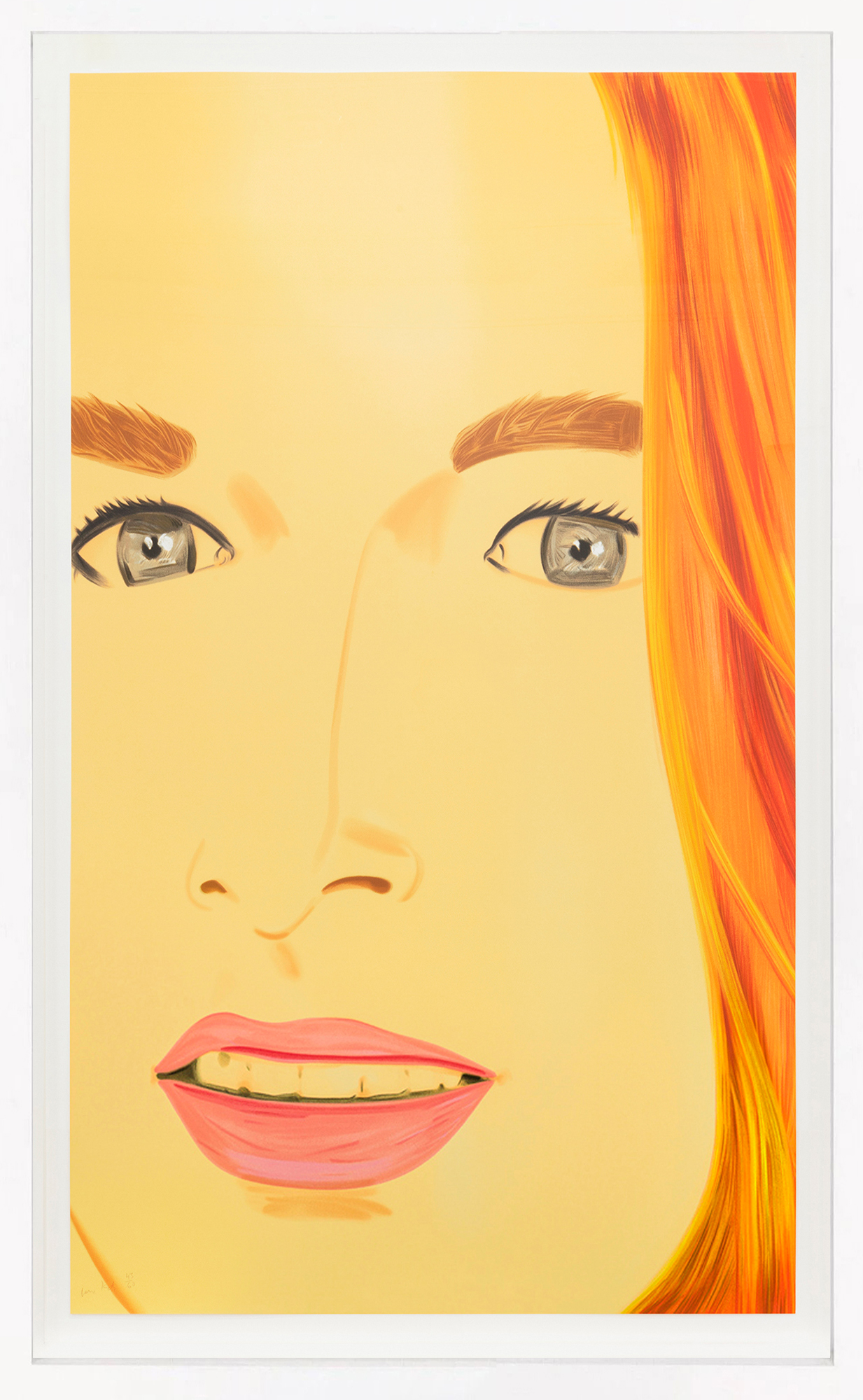 Ariel 2 (large framed hand signed silkscreen) by Alex Katz