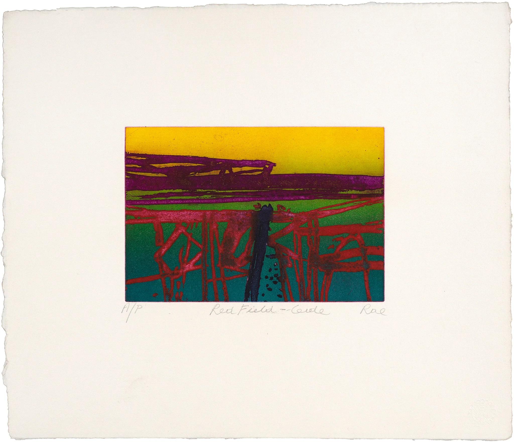 Red Field – Ceide by Barbara Rae