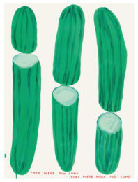 David Shrigley They Were Too Long – Cucumber (Framed) by David Shrigley at Clifton Gallery