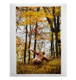 Gilded Twist by Ryan McGinley at Dovehouse Contemporary