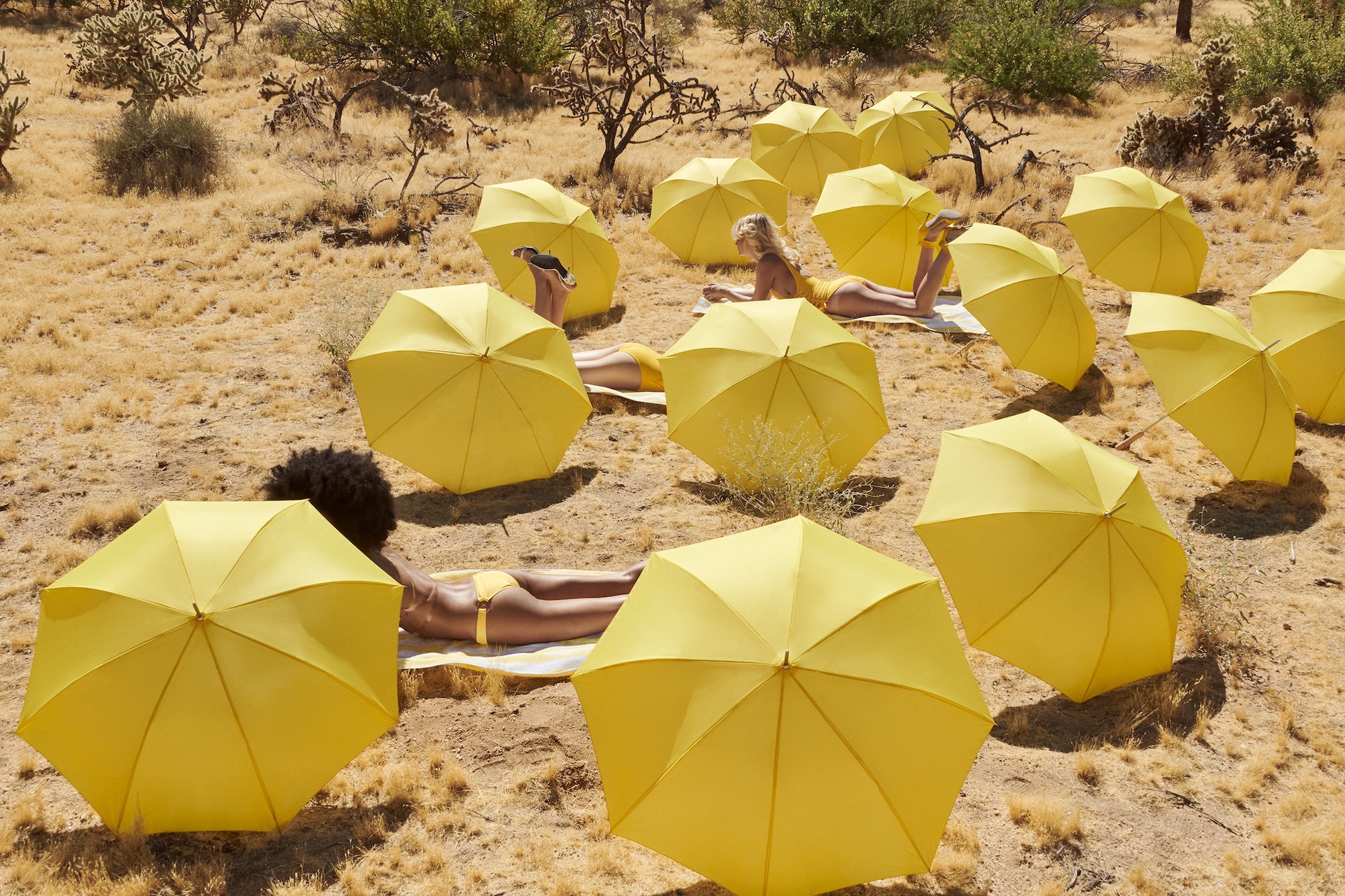 Umbrella II by Jamie Nelson