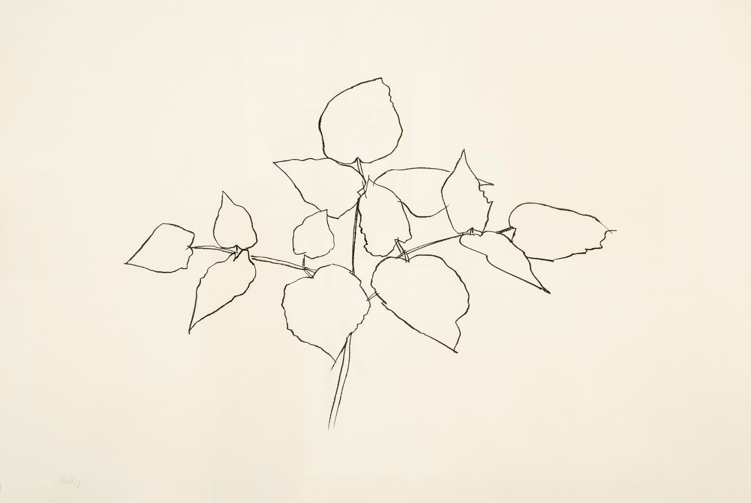 Woodland Plant by Ellsworth Kelly