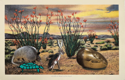 Ocotillo in Bloom on the Desert by Raul Guerrero at Cirrus Gallery + Cirrus Editions Ltd.