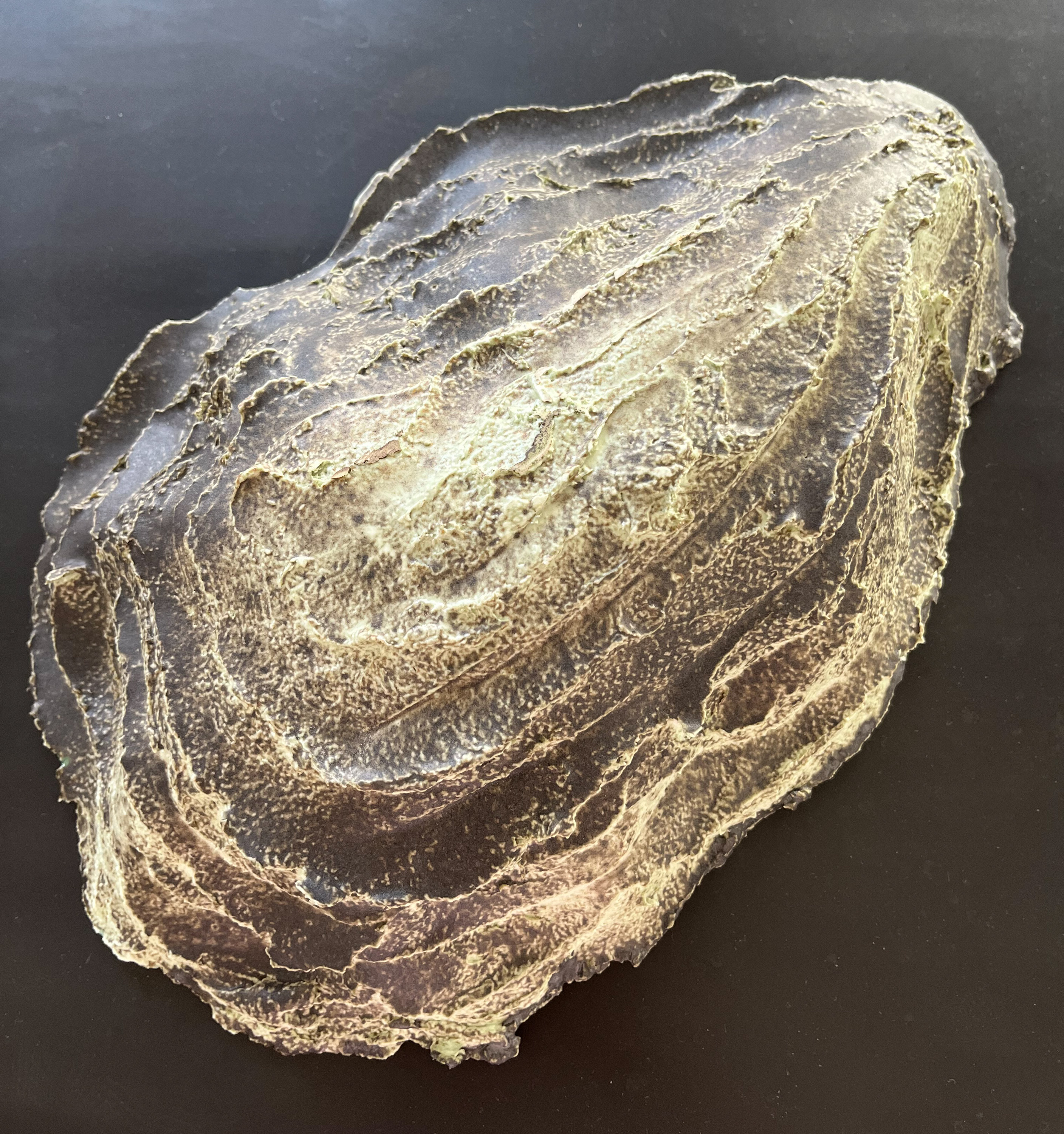 Oyster by Anselm Baumann