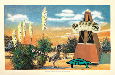 Spanish Bayonet in Bloom on the Desert by Raul Guerrero at Cirrus Gallery + Cirrus Editions Ltd.